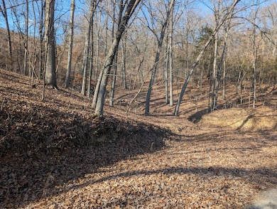 000 Gregg Rd, Reeds Spring, MO 65737 - photo 3