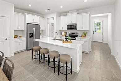 Alafia Model Kitchen