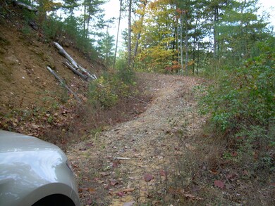 2225 Chilhowee Loop Road