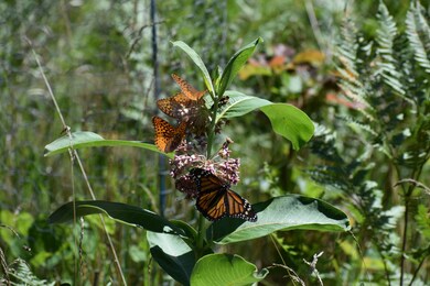 2913 County Line Rd W, Manistee, MI 49660 - photo 7