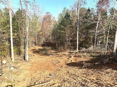 1698 Shoal Creek Way, Bishop, GA 30621 - photo 2