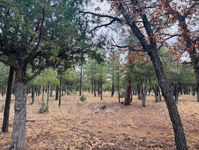 2793 Hummingbird Cir, Happy Jack, AZ 86024 - photo 2