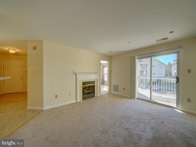 9101 Gracious End Ct unit 201, Columbia, MD 21046 - photo 5