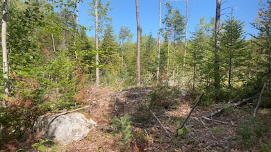 TBD Wakefield Rd, Newfield, ME 04095 - photo 3