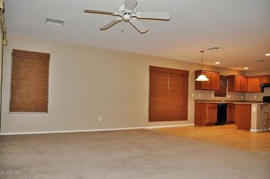 18201 E El Viejo Desierto, Gold Canyon, AZ 85118 - photo 7