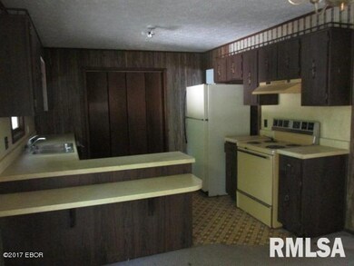 1000 W Parish St, Harrisburg, IL 62946 - photo 4