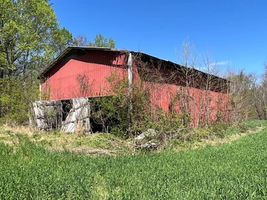 172 Acres Spears Rd, Scottsville, KY 42164 - photo 7