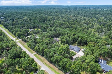 31202 N High Meadow Cir, Magnolia, TX 77355 - photo 3