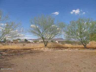 023-296924 -  backyard five