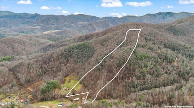 03-DJI_0936