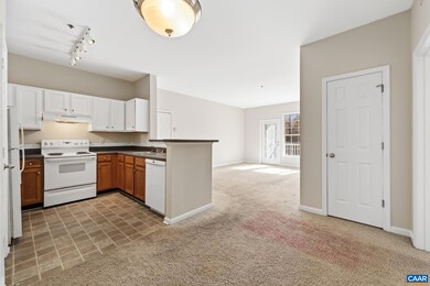 290 Riverbend Dr unit 2D, Charlottesville, VA 22911 - photo 7