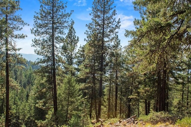 66 Truckee Trail unit 17, Cascade, ID 83611 - photo 5