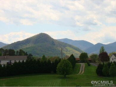 44 Frank Lawson Ln, Leicester, NC 28748 - photo 6