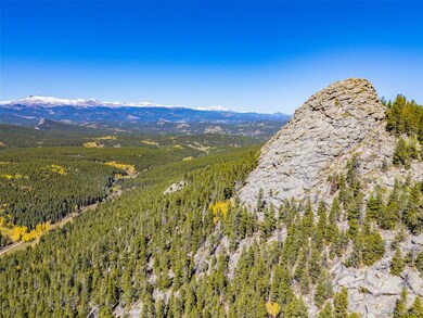 1006 Damascus Rd, Black Hawk, CO 80422 - photo 5