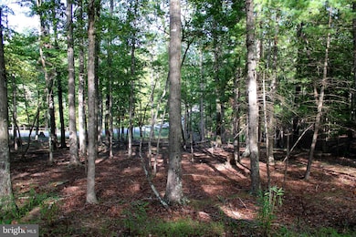 LOT 135 River Bend Dr, Paw Paw, WV 25434 - photo 3