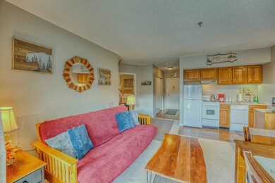 36 Lodge Rd unit C208, Lincoln, NH 03251 - photo 6