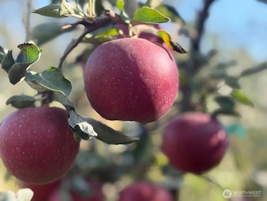 1 Mountainview Rd, Grandview, WA 98930 - photo 6