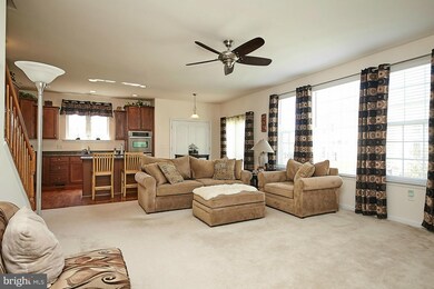 24999 White Fir Ct, Chantilly, VA 20152 - photo 4