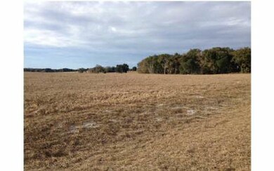 0 High Point- Lot 14 unit 105269, Lake City, FL 32055 - photo 3