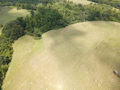 0 County Road 494, Bryant, AL 35958 - photo 7