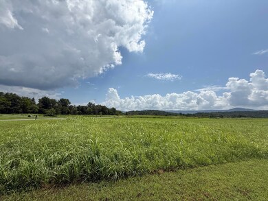 IMG_0587