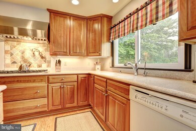 12634 Timonium Terrace, North Potomac, MD 20878 - photo 6