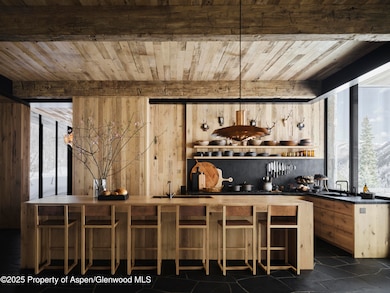 724 N Hayden Rd, Aspen, CO 81611 - photo 5