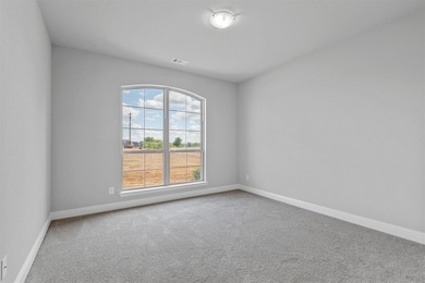 715 Saddle Spur Trail, Weatherford, TX 76087 - photo 7