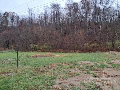 8818 State Route 41 N, Bainbridge, OH 45612 - photo 6