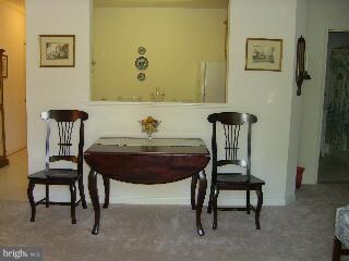 1597 Homeland Dr unit 2D, Sykesville, MD 21784 - photo 3