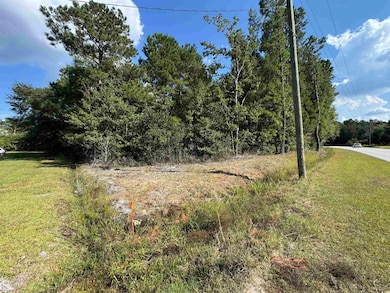 TBD Mount Olive Rd, Loris, SC 29569 - photo 5