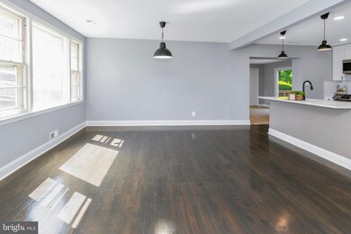 4602 Cedar Garden Rd, Baltimore, MD 21229 - photo 7