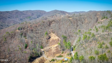 304 Honeymoon Lot 69 Hollow, Butler, TN 37640 - photo 6