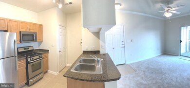 Bryson At Woodland Park unit 405, Herndon, VA 20171 - photo 2