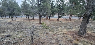 Unit 1 Lot 16 Lake Shore Dr unit 1, Weed, CA 96094 - photo 6