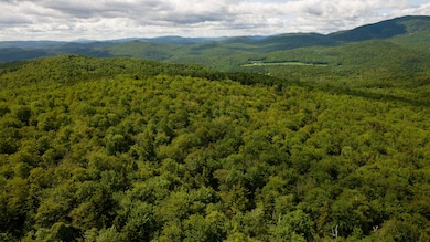 00 Albin Hill Rd, Braintree, VT 05060 - photo 6