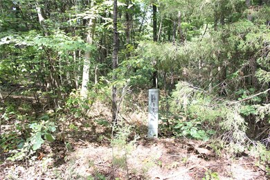 0 Welland Ln, Bella Vista, AR 72715 - photo 4