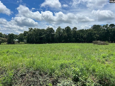 0 Hollywood Rd unit 615325, Batesburg, SC 29006 - photo 2