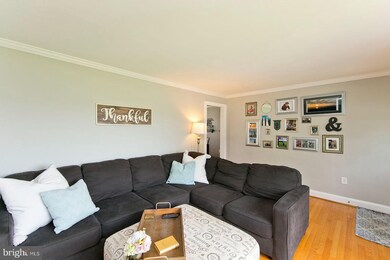 1187 Salem Church Rd, Stephens City, VA 22655 - photo 6