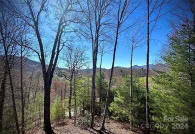 201 Pinnacle Rd, Burnsville, NC 28714 - photo 4