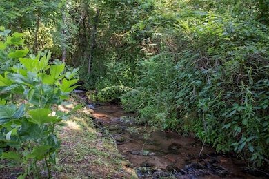 496 Jackie Cove Rd, Hayesville, NC 28904 - photo 5