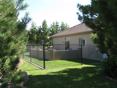 Back Patio Area