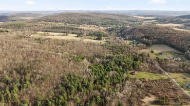 0 Foster Valley Rd unit 330660, Owego, NY - photo 6