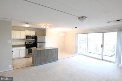 2624 Redcoat Dr unit 163, Alexandria, VA 22303 - photo 4