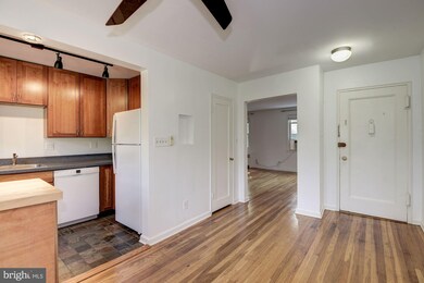 2221 Washington Ave unit 303, Silver Spring, MD 20910 - photo 4
