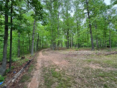 17572 Old Highway 68, Siloam Springs, AR 72761 - photo 3