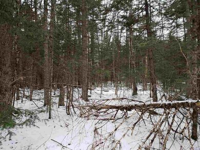 00 Balancing Rock Rd, Franconia, NH 03580 - photo 4