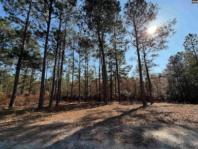 1031 Oakland Dr, Camden, SC 29020 - photo 5