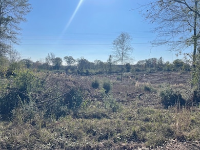 Lot 2 Sinclair Rd, Columbia, MS 39429 - photo 7