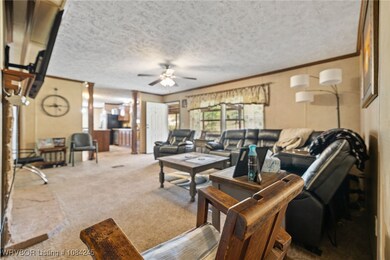 10117 Beth Lynn Rd, Mulberry, AR 72947 - photo 6